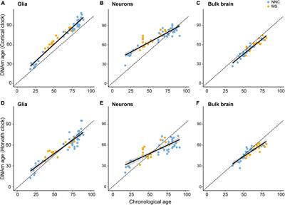 Epigenetic clock indicates accelerated aging in glial cells of progressive multiple sclerosis patients